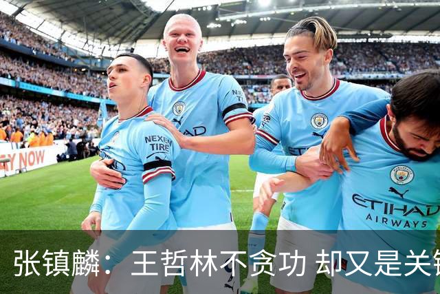 张镇麟：王哲林不贪功 却又是关键时刻能站出来的人 队长当之无愧